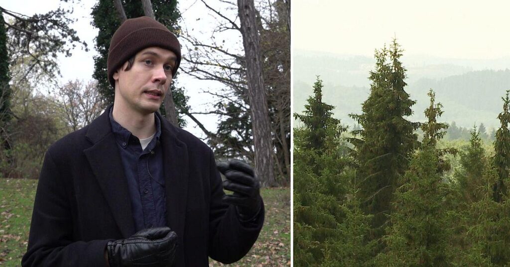 Forschung: Jeder Fünfte hat negative Gefühle gegenüber der Natur