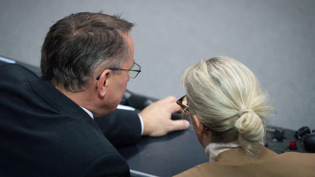Linnemann: Weidel wird "immer mehr zum rechtsextremen Verdachtsfall"