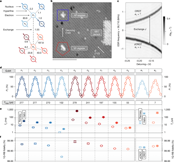 Ein 11-Qubit-Atomprozessor in Silizium erreicht Bell-Zustandsgenauigkeiten von bis zu 99,5 %