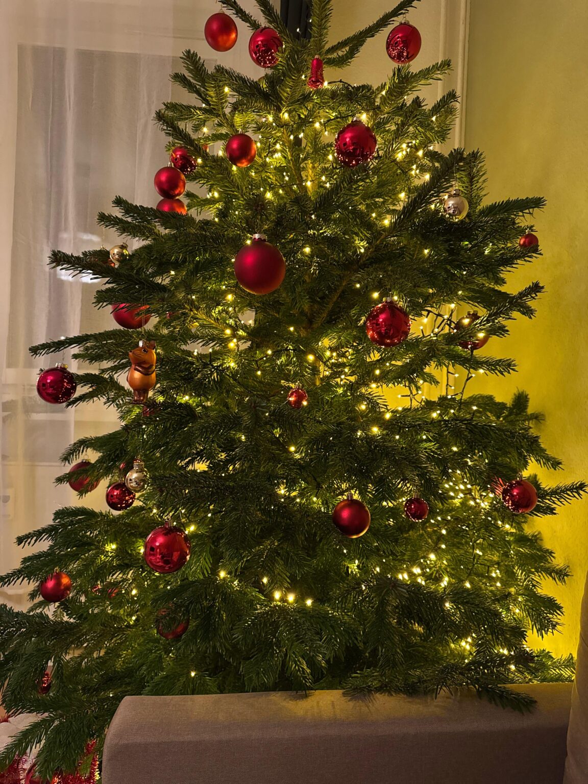 Weihnachtsbaum zieht kein Wasser? Weihnachtsbaum zieht kein Wasser?