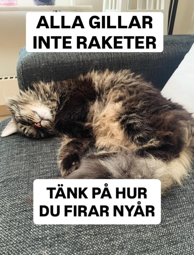 Eine Einladung, ein wenig über Tiere und Natur nachzudenken