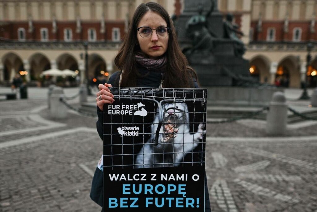 Pelzfarmen in Polen werden verboten: Die Käfigtüren öffnen sich