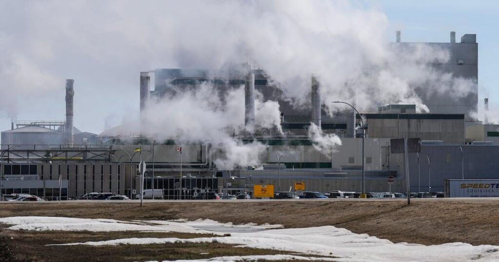 Trump-Zölle: Kanadas Kaliindustrie reagiert auf US-Drohungen