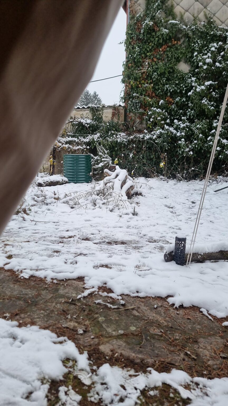 Weiße Outdoor Weihnachten 🎄