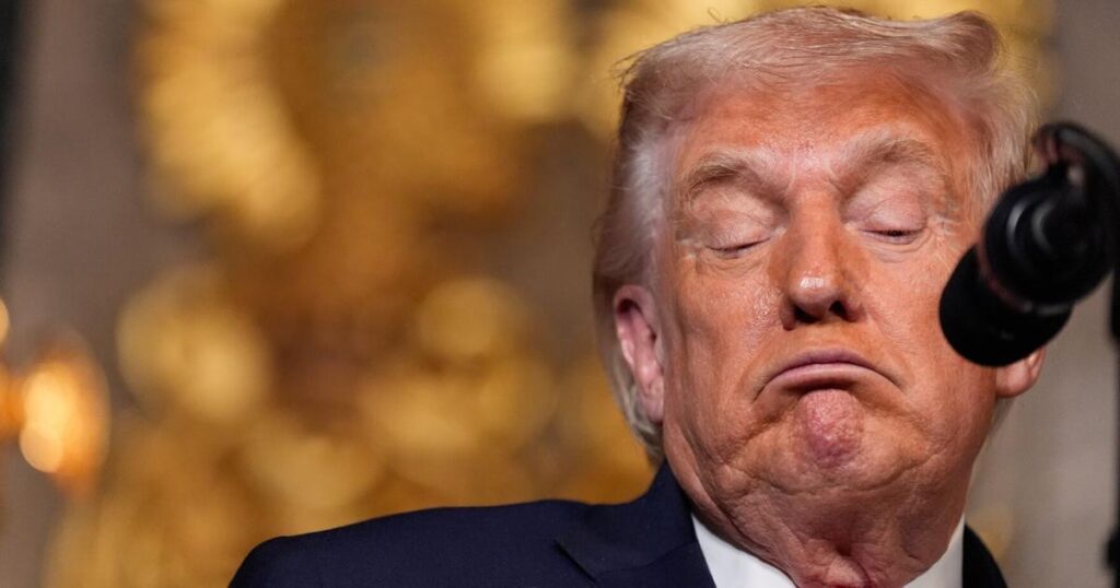 Meinung: Solange Trump im Amt ist, ist Kanada in Gefahr. Deshalb ist es das Wichtigste, was wir tun können, uns selbst zu schützen Meinung: Solange Trump im Amt ist, ist Kanada in Gefahr. Deshalb ist es das Wichtigste, was wir tun können, uns selbst zu schützen