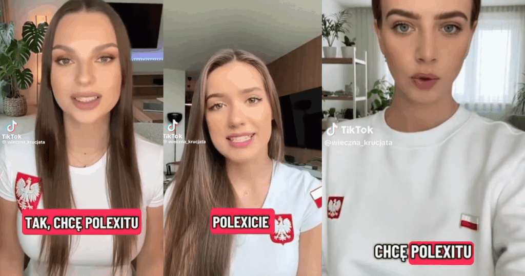 Polen fordert EU-Maßnahmen gegen KI-generierte TikTok-Videos, die zum „Polexit“ aufrufen