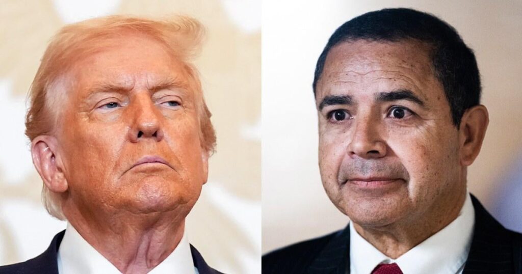 „Kein Mr. Nice Guy mehr“: Trump kritisiert den Abgeordneten Henry Cuellar, weil er nach seiner Begnadigung als Demokrat kandidiert