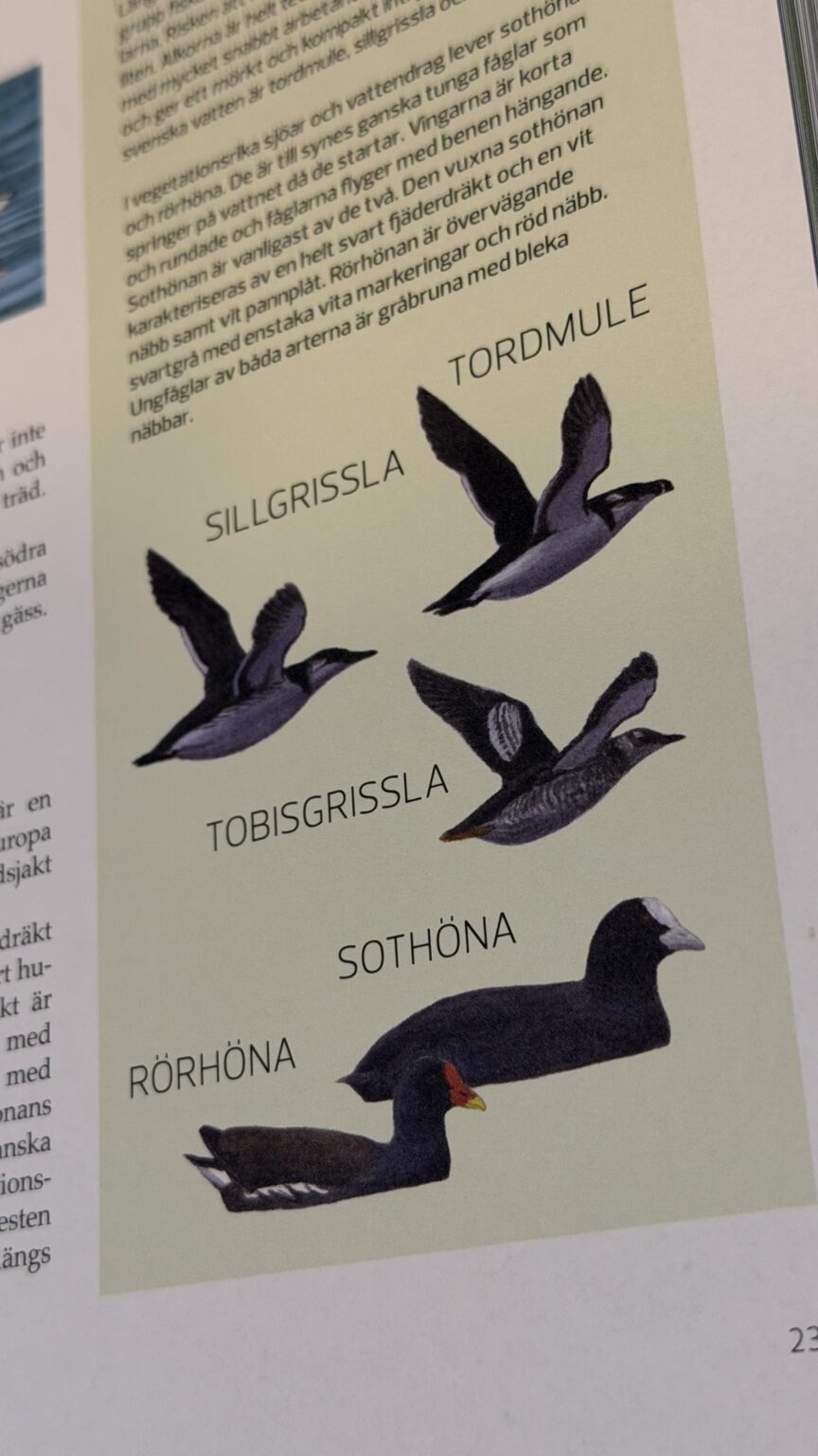 Wie studiere ich am besten für das Jagdstudium? Wie studiere ich am besten für das Jagdstudium?