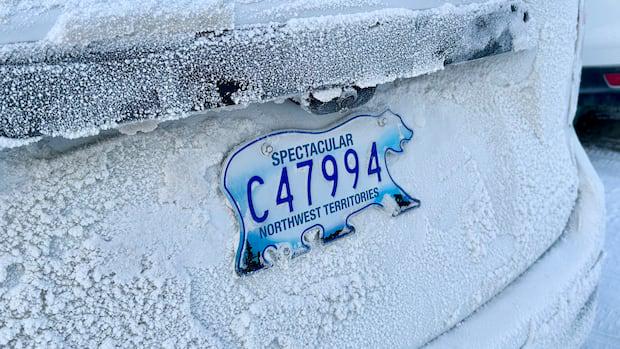 Wie das Eisbären-Nummernschild der NWT zum „heiligen Gral“ für Sammler wurde | CBC-Nachrichten
