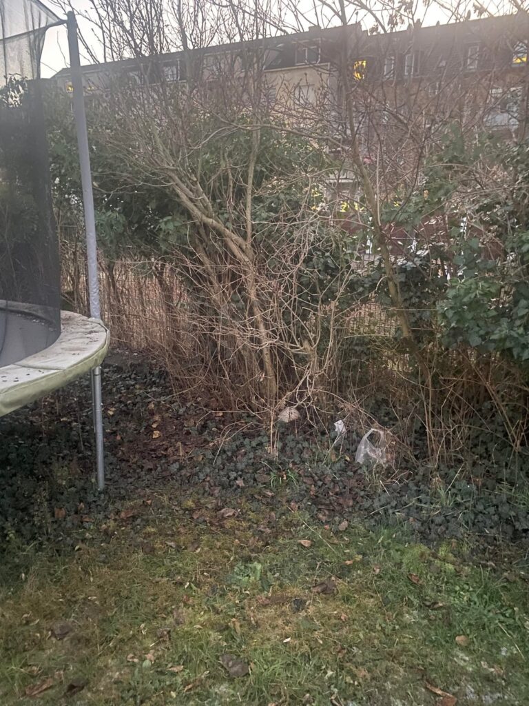 Garten im Frühling verschönern