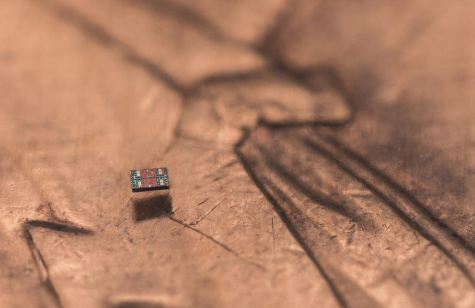 Forscher entwickeln programmierbare, autonome Roboter, die kleiner als ein Reiskorn sind