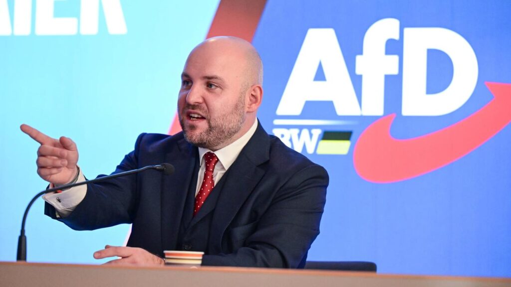 Die AfD sucht Anschluss in den USA