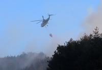 Waldbrand in Gwangyang nach 19-stündigem Kampf durch Feuerwehrleute gelöscht 