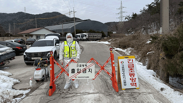 South Jeolla meldet ersten Fall der Afrikanischen Schweinepest
