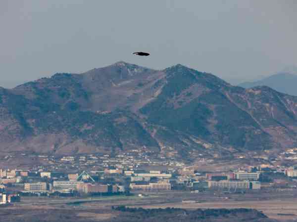 UN-Kommando: Versuche Südkoreas, DMZ-Gerichtsbarkeit zu erlangen, stehen im Konflikt mit Waffenstillstandsabkommen