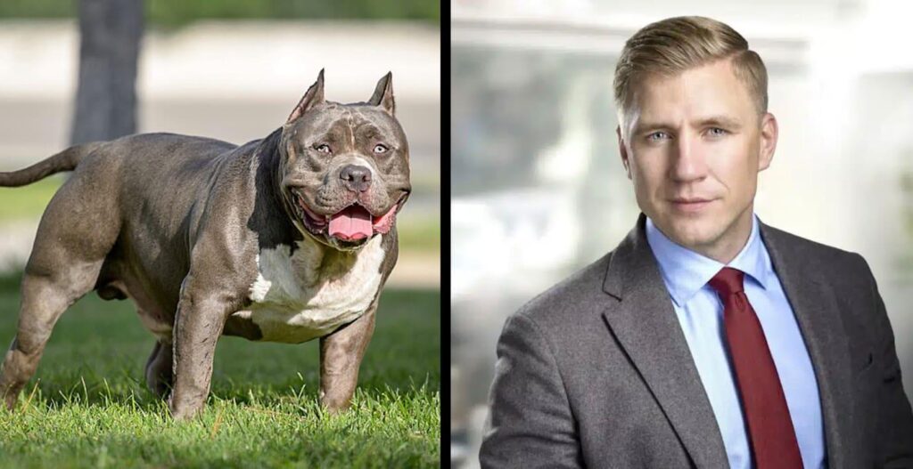 M-Mitglied: „Diese Hunde müssen verboten werden“