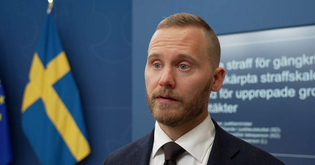SD fordert die Entlassung von Katja Nyberg (SD).