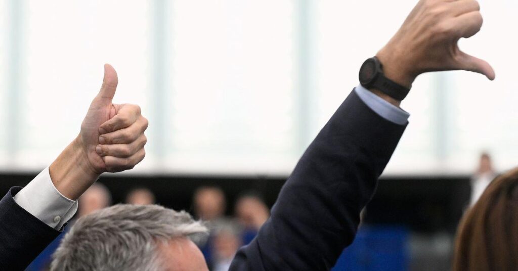 Das EU-Parlament schickt das Mercosur-Abkommen vor Gericht