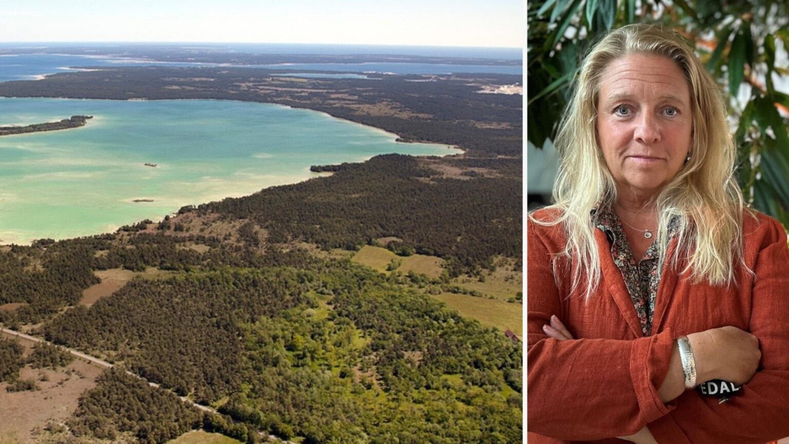 Fohlin (S): Der Wunsch, Steine ​​abzubauen, verzögert den neuen Nationalpark – P4 Gotland