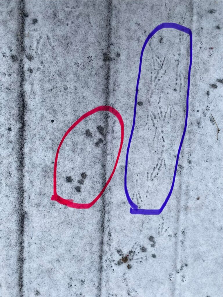 Was läuft über meine Terrasse?