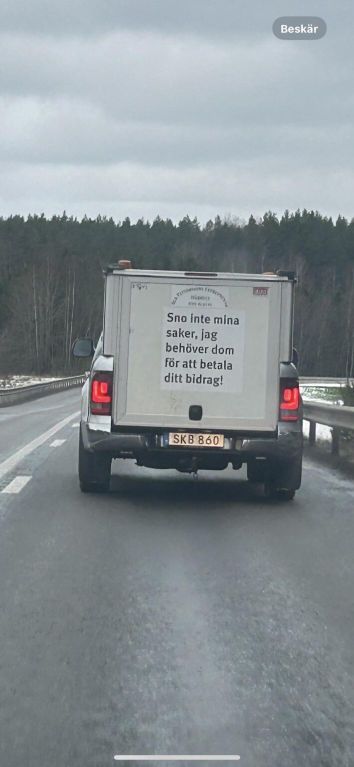 immer noch wild