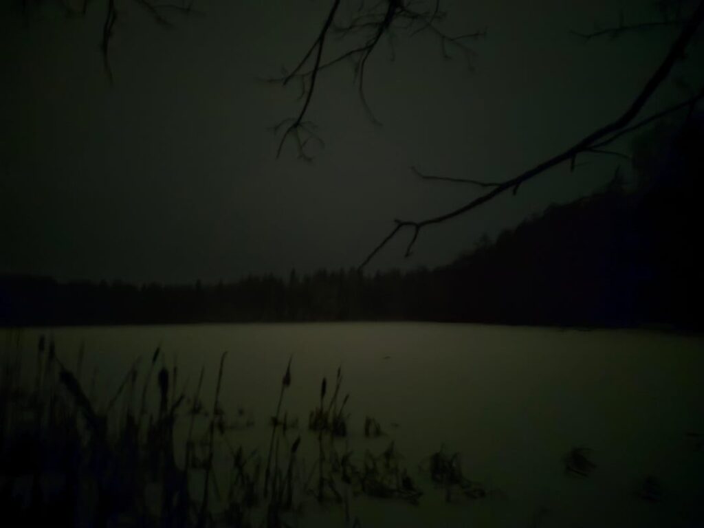 mehr Waldfotos!