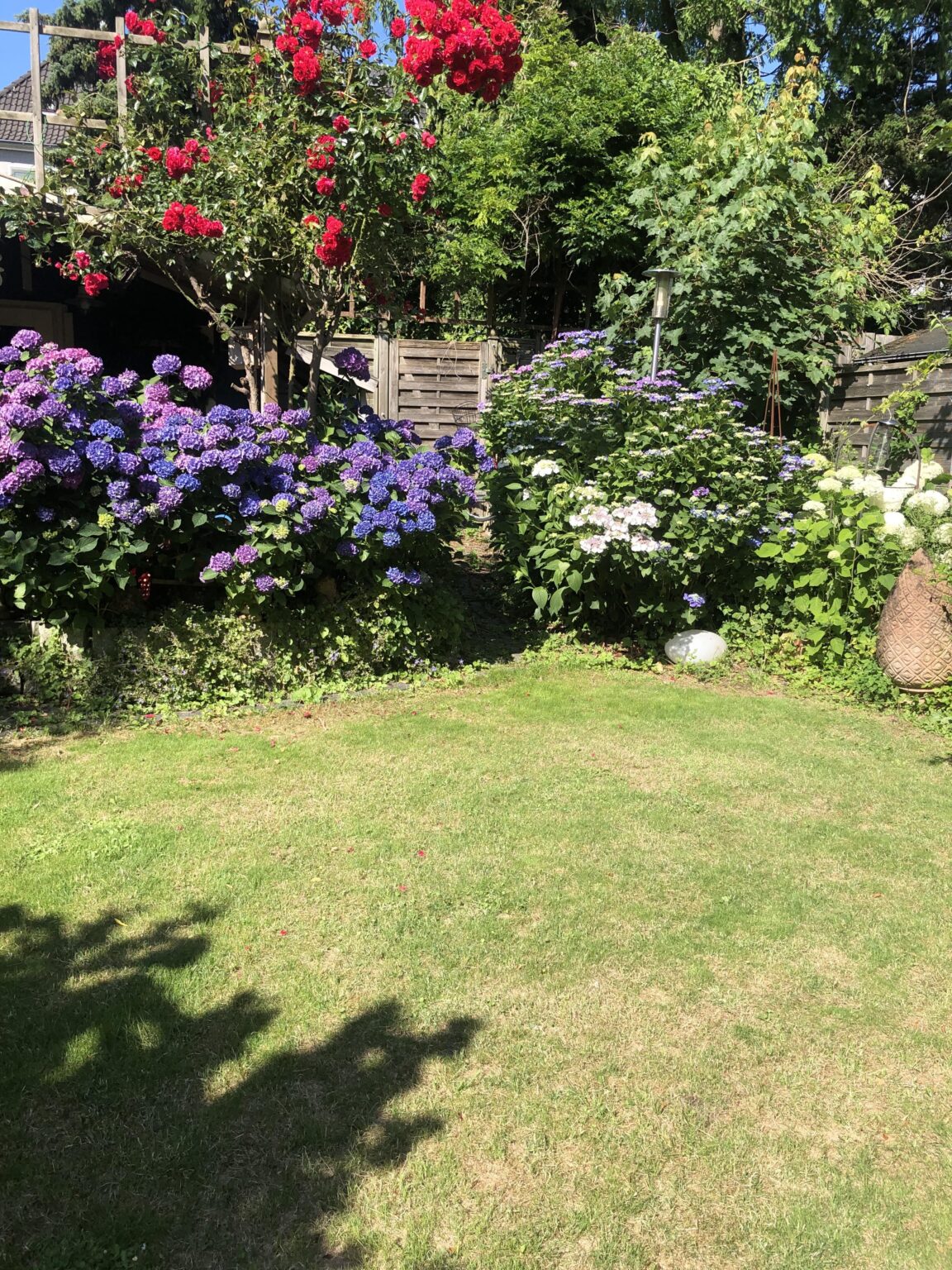 Nur noch vier Tage und vier Monate bis zum Sommer…. Haltet durch!! (Garten meiner Eltern)