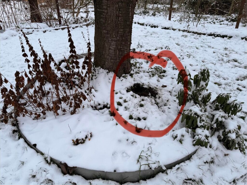 Wer gräbt so ein Loch? Wer gräbt so ein Loch?
