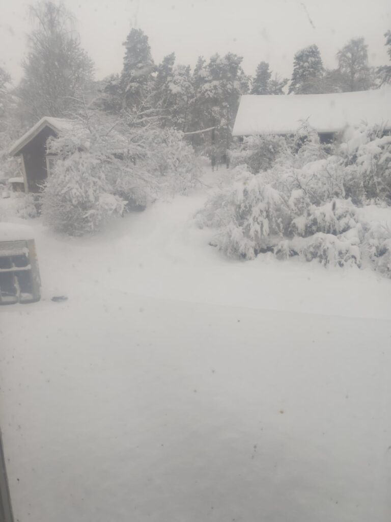 Ungewöhnlich viel Schnee in diesem Winter