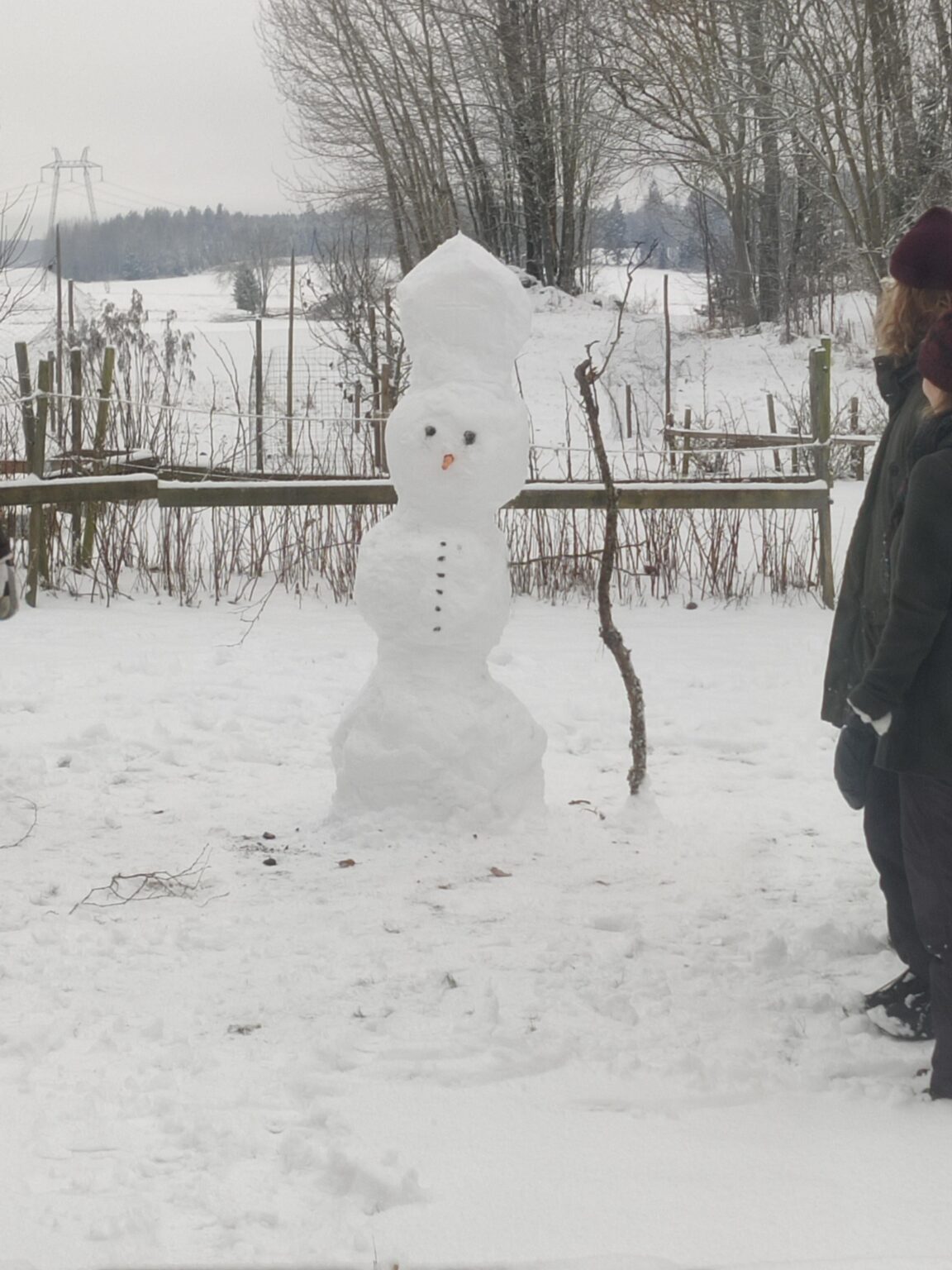 Schneepapst