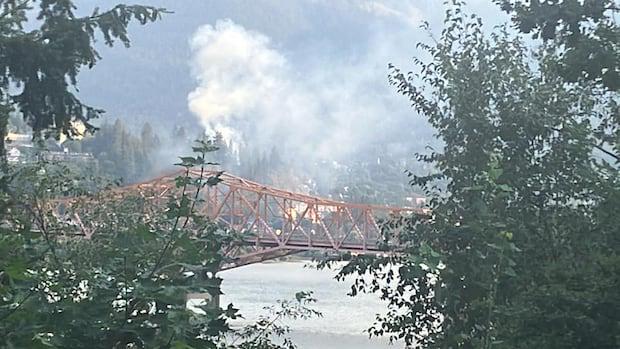 Mann aus Nelson, BC, verbannt, wegen Brandstiftung während der Waldbrandsaison 2024 verurteilt