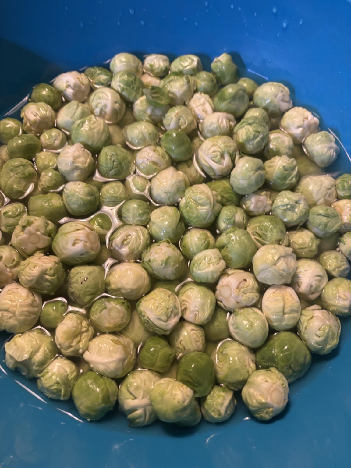 Frage zur Rosenkohl-Ernte Frage zur Rosenkohl-Ernte