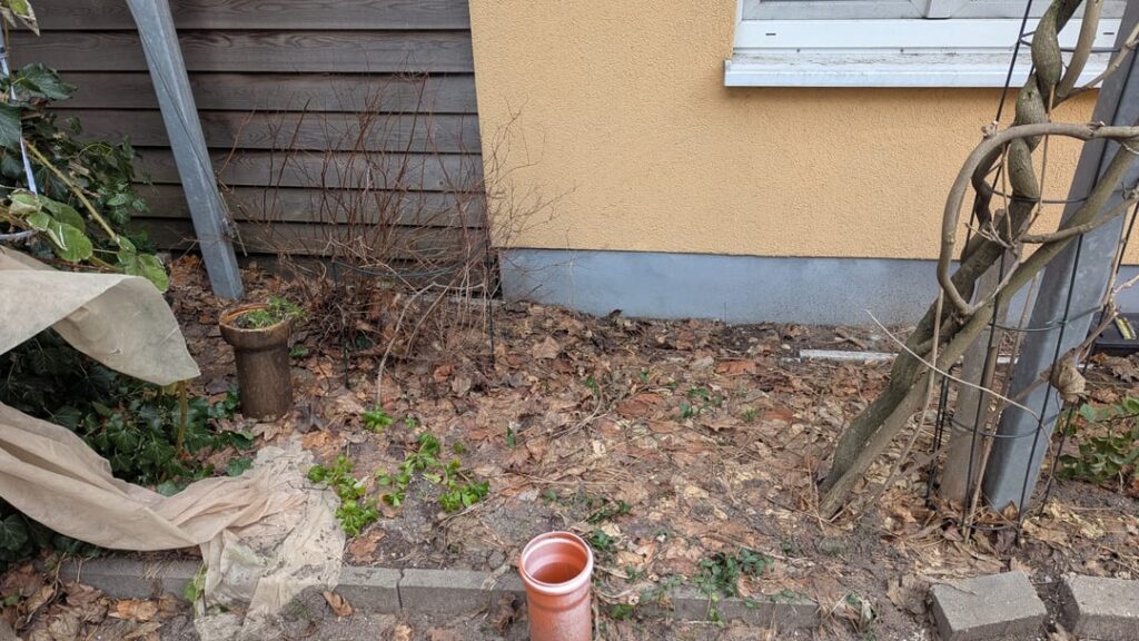 Was kann ich in diesem Blumenbeet pflanzen? Was kann ich in diesem Blumenbeet pflanzen?