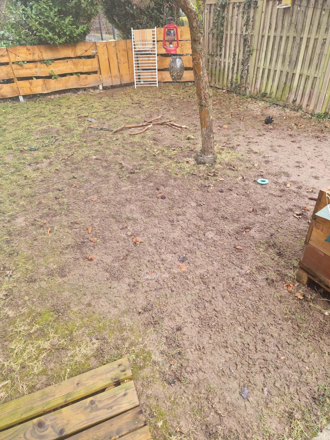 Wächst hier je wieder Rasen? Wächst hier je wieder Rasen?