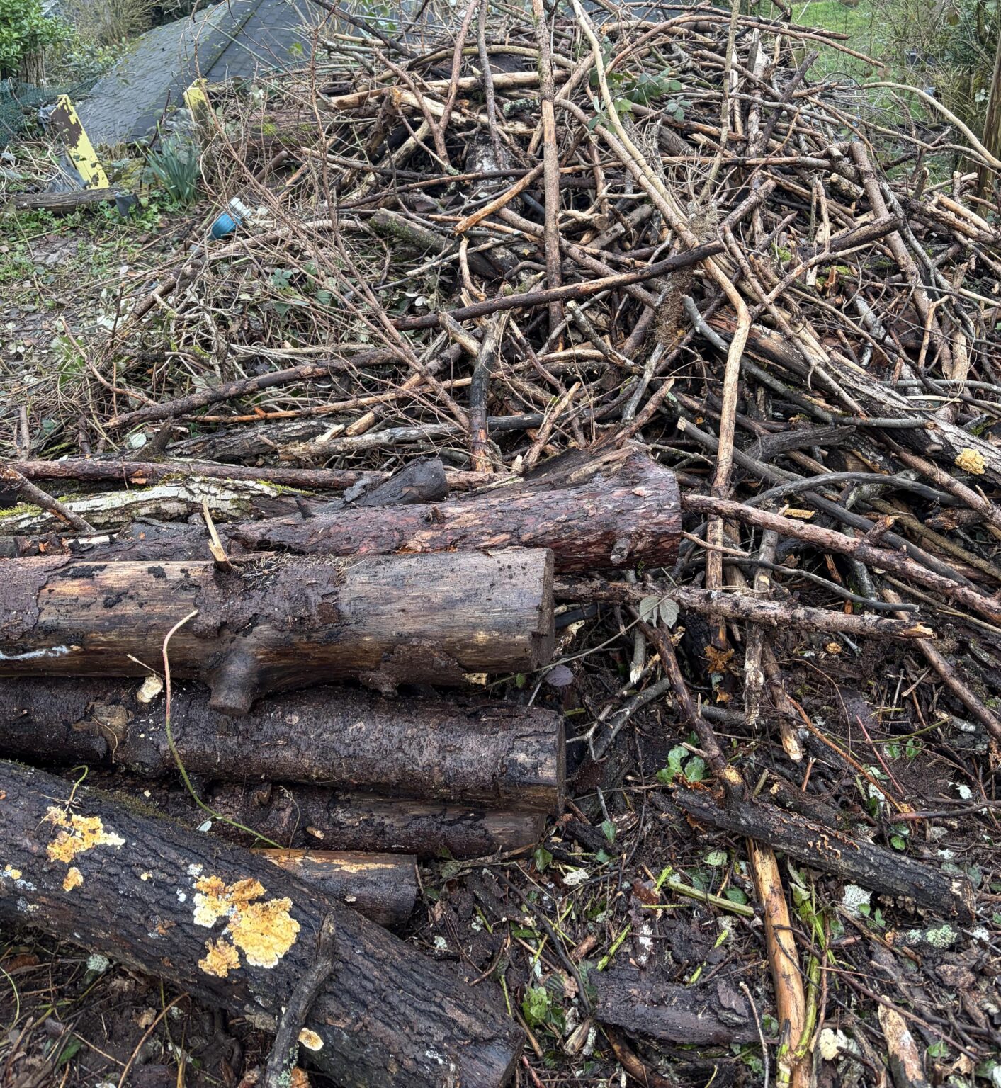 Was mit dem Holz machen?