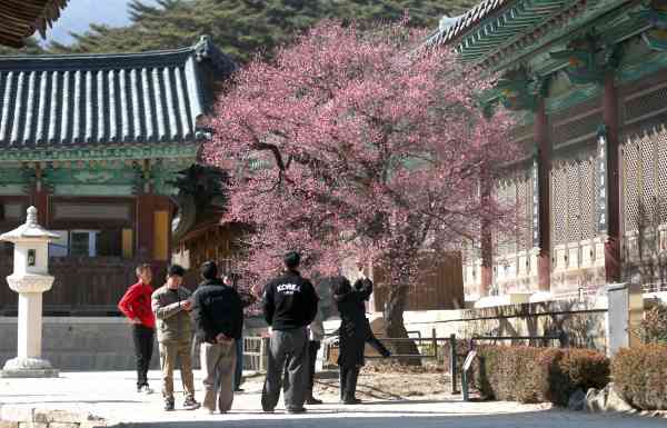 KMA: Temperaturen bleiben bei trockenen Bedingungen über dem Gefrierpunkt