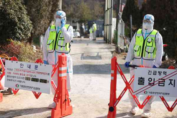Süd-Gyeongsang verschärft Quarantäne nach neuem ASP-Ausbruch