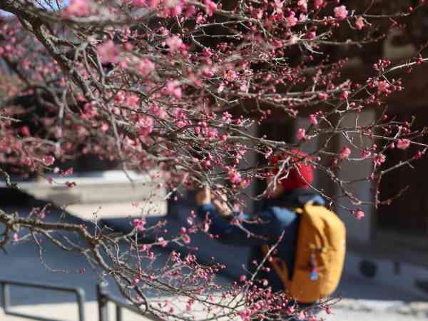 Überwiegend klarer Himmel, ungewöhnlich warmes Wetter am Wochenende erwartet