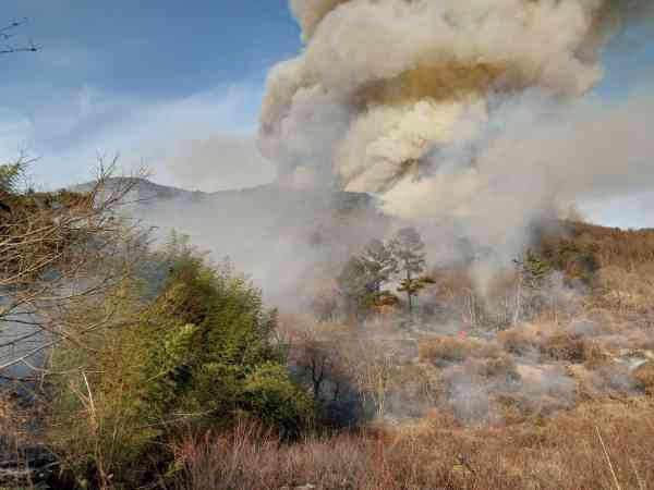 Reaktionshaltung der Stufe 1 für Waldbrand in Miryang aktiviert