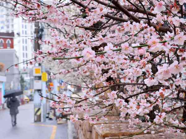 Quecksilberunterschied zwischen Vormittag und Nachmittag wird sich über das Wochenende vergrößern
