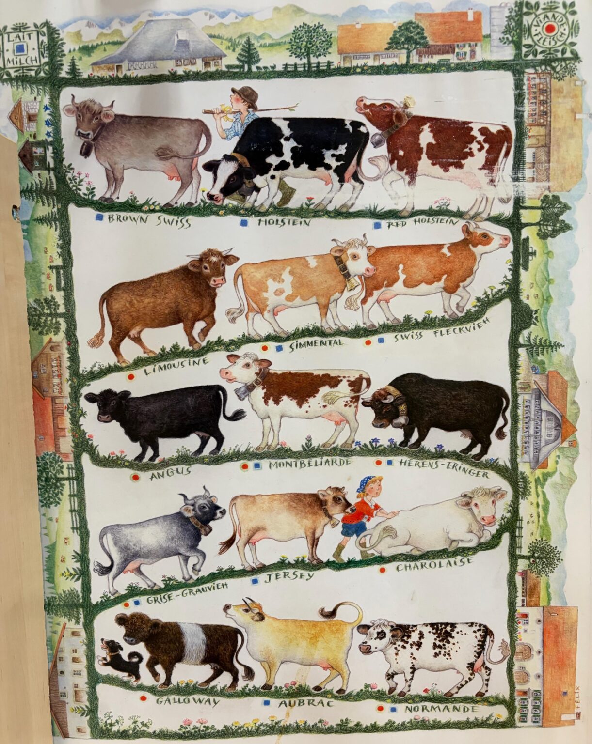 Ein sehr schweizerisches Poster