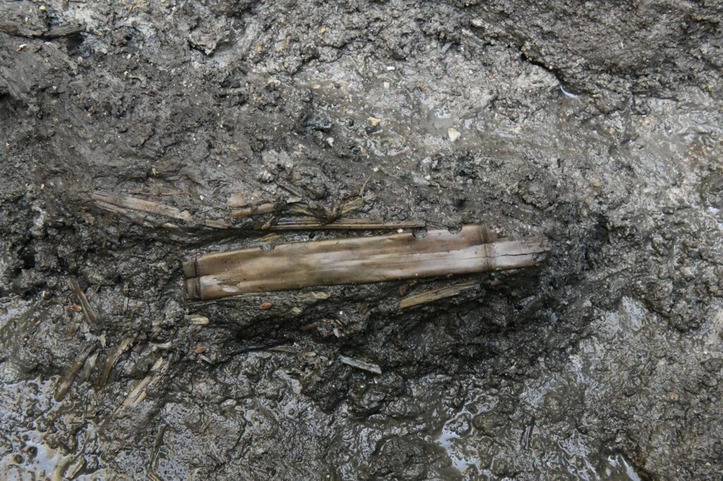 Flöte aus dem 7. Jahrhundert, Holztafeln tauchen an der Ausgrabungsstätte Buyeo auf Flöte aus dem 7. Jahrhundert, Holztafeln tauchen an der Ausgrabungsstätte Buyeo auf