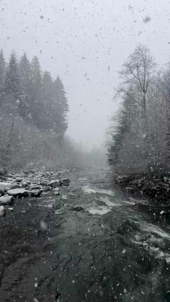 Szenenbericht von Mt Hood NF