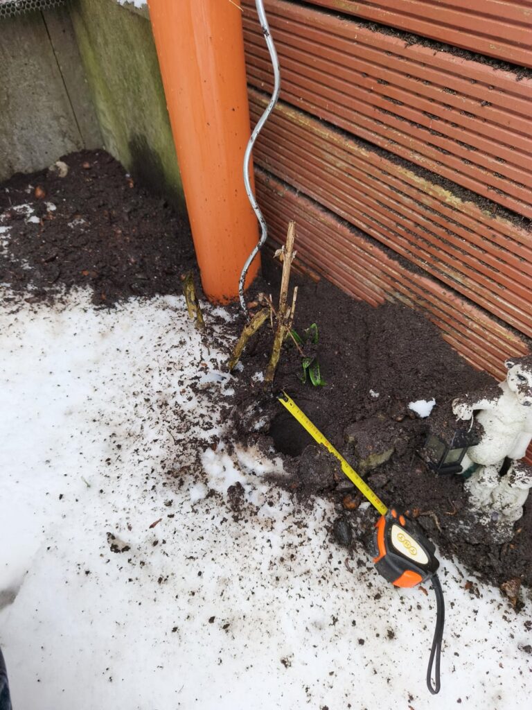 Ich werde unterminiert…. Ich werde unterminiert....