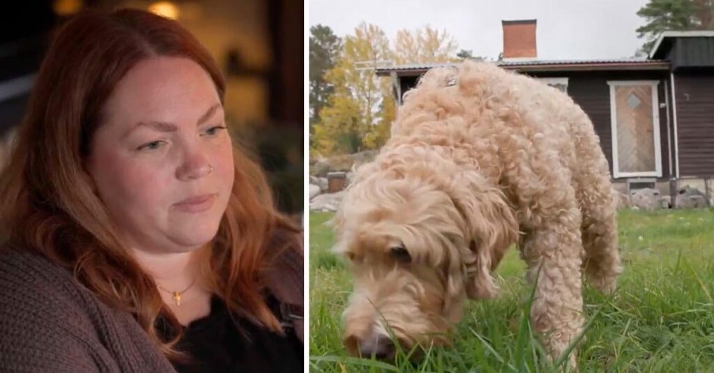 Sara muss das Haus verkaufen, um sich den Tierarzt leisten zu können