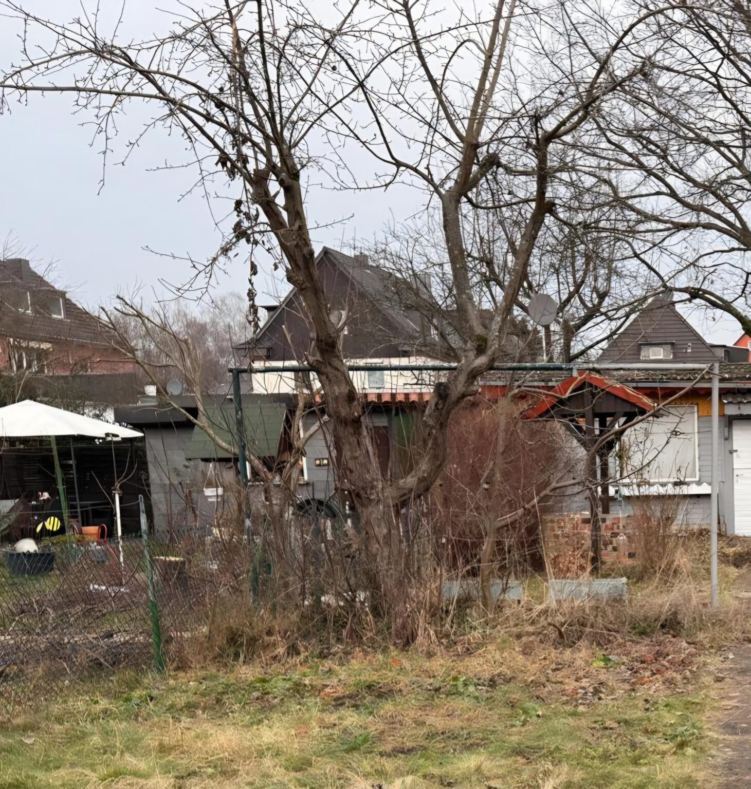 Zwei Apfelbäume Zwei Apfelbäume