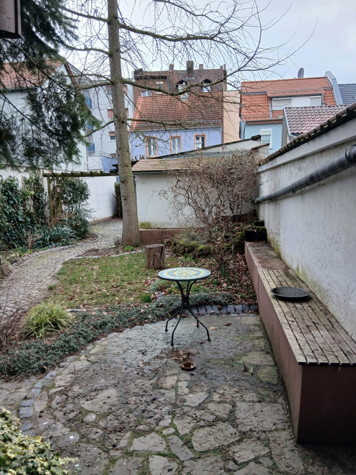 Tipp für Bäumchen/Strauch?