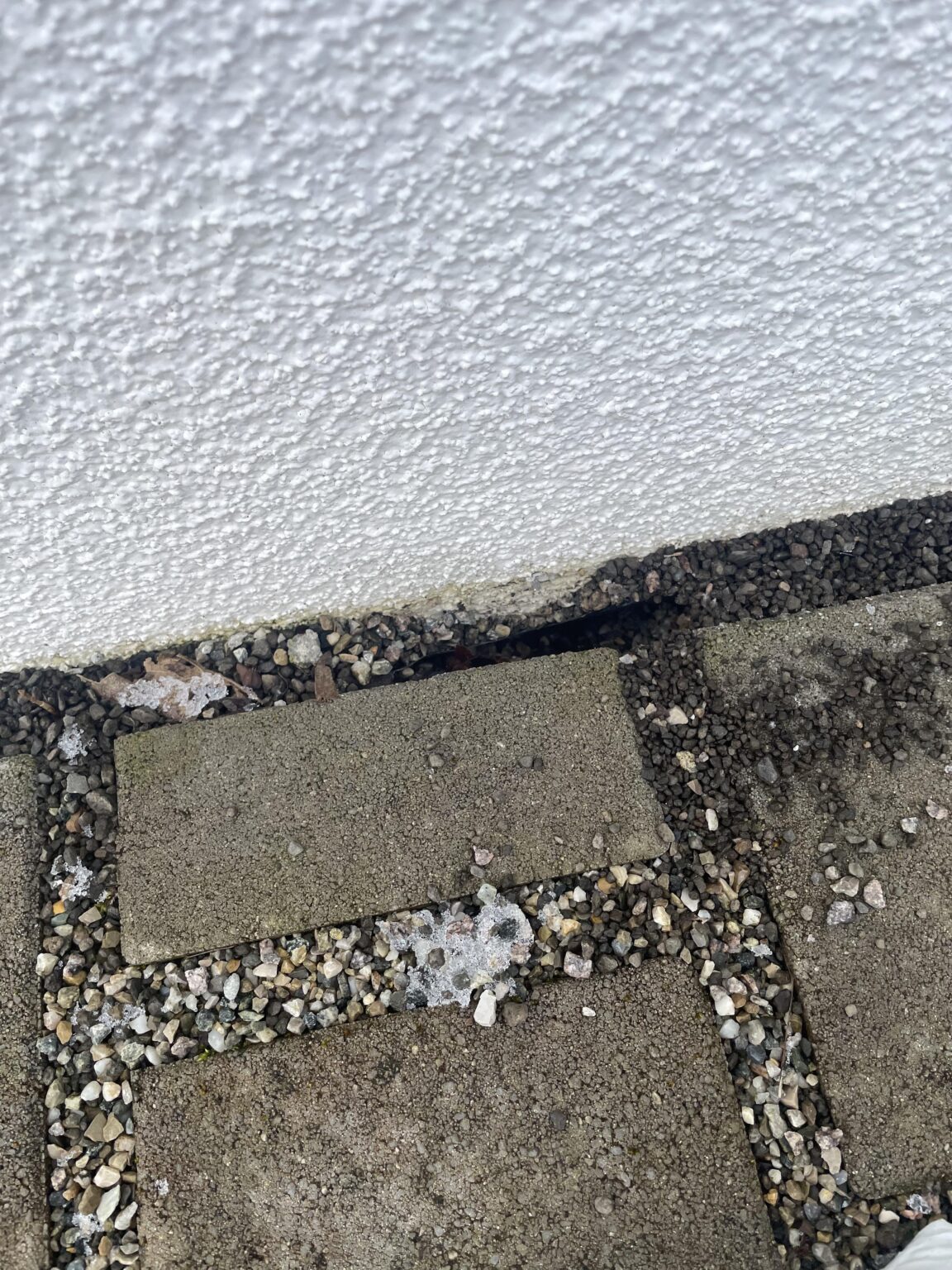 Mäuse unter der Garage Mäuse unter der Garage