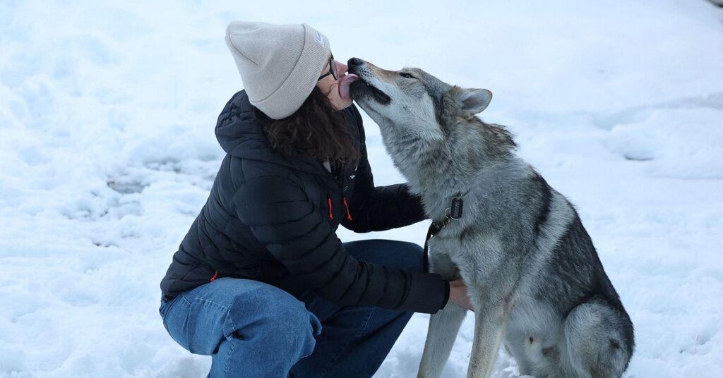 Ihr Hund wurde bei Olympia weltberühmt: „Ich dachte, er wäre zu Hause“