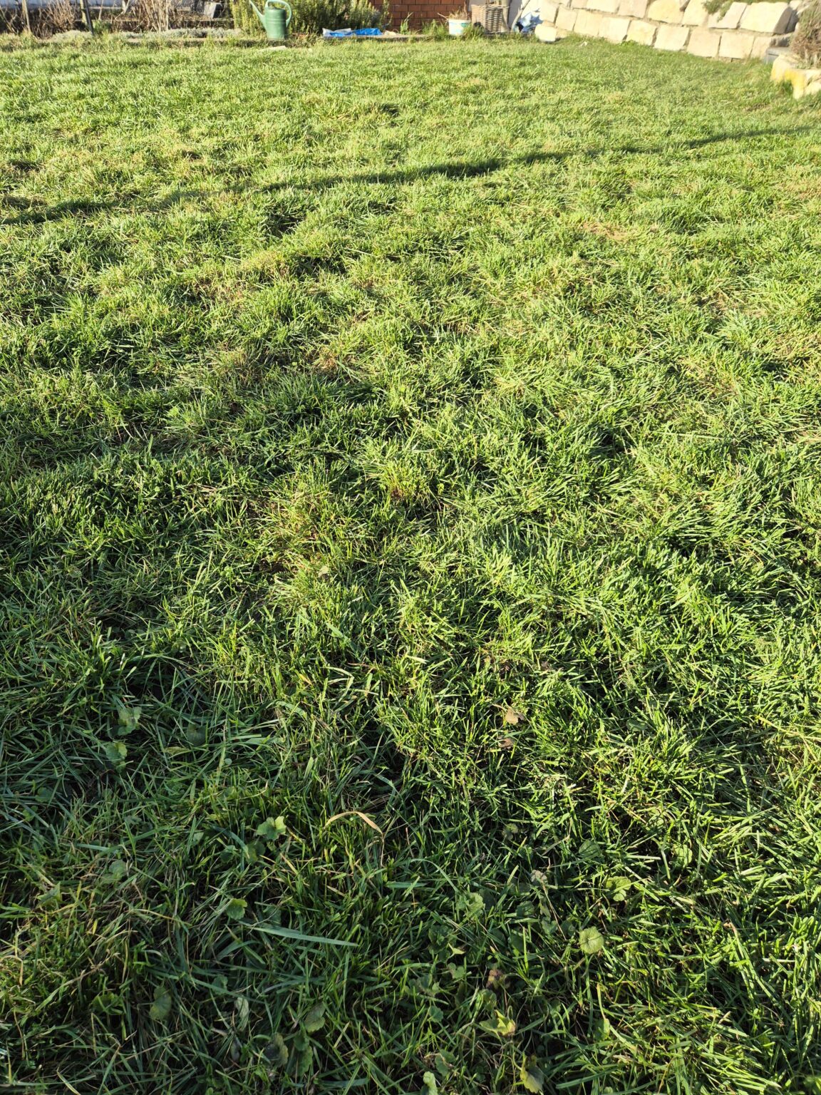 Rasen ebnen. Wie viel sand Rasen ebnen. Wie viel sand